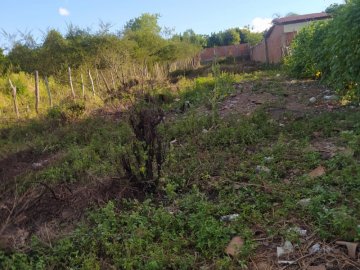 Terreno - Venda - Jequiezinho - Jequié - BA